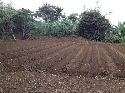 Farm beds finished front view