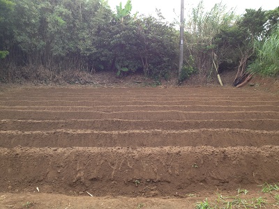 Farm beds finished side view