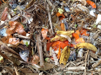 Composting pile materials green kitchen close up