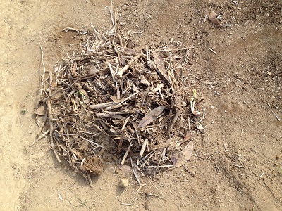 Farm composting sorting out coarse materials from prepared and finished compost