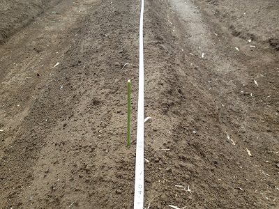 Bamboo farm seed spacer