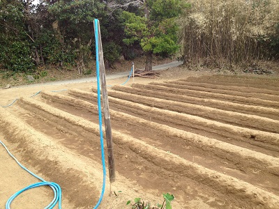 Bamboo farm hose connection holder