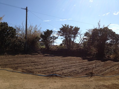 Bamboo farm hose guide