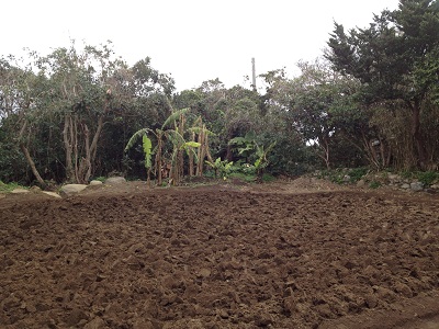 Farm plan lower tilling the soil and preparing for beds