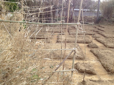 Farm plan upper making bamboo climbing trellis for vines
