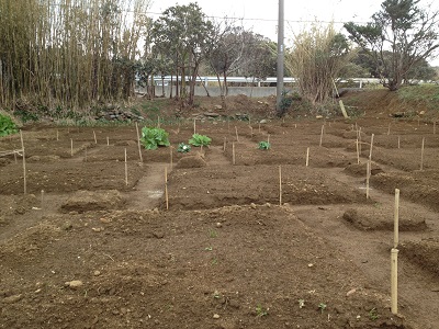 Farm plan upper making offset square beds pattern and drainage